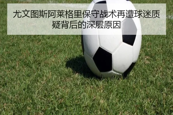 img_1781288404078_964_1_480.jpg
